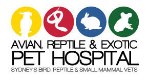 Avian Reptile and Exotic Pet Hospital